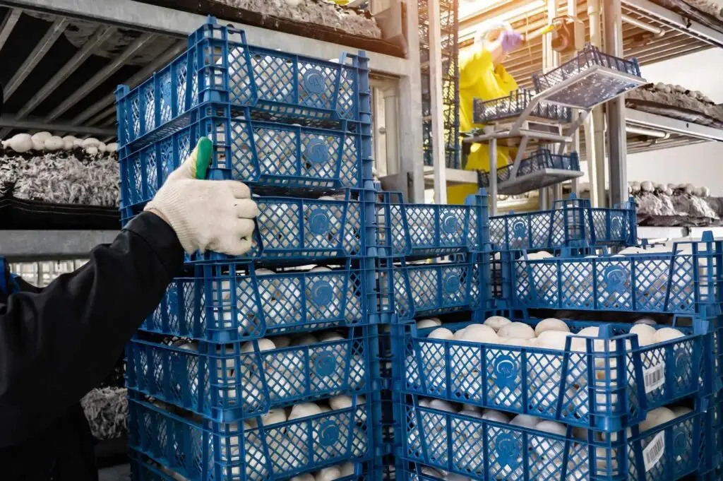 How to Stay FDA – USDA Compliant with Your Material Handling Systems 1